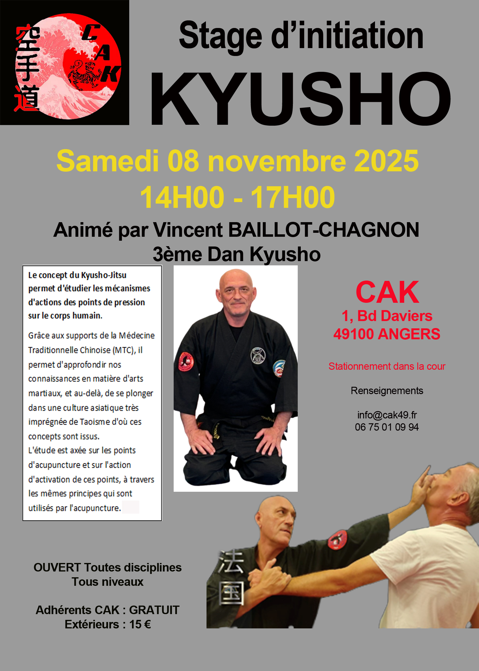 Affichette stage Kyusho