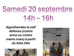 Stage Aurélien VENARA / Michel RINO le Karatedo par le Self défense